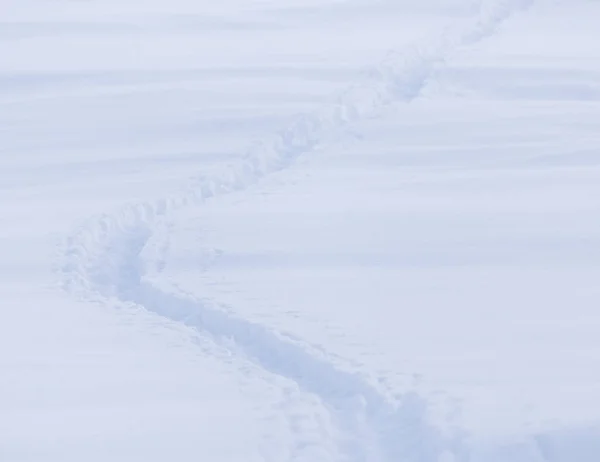 Escaladores trilha na neve como um fundo — Fotografia de Stock