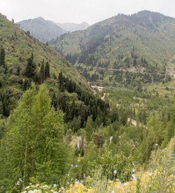 Mount Kazakistan. Çimbulak