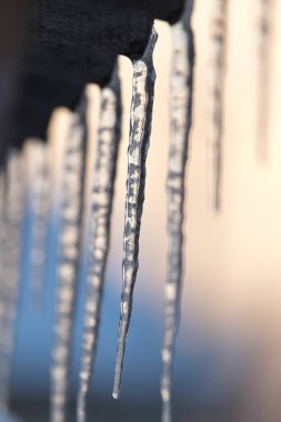 Kış buz sarkıtları güneş şafak üzerinde