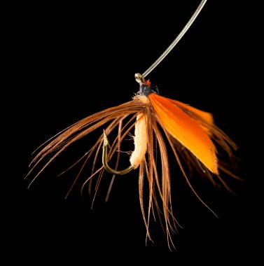 Siyah arka planda balık yakalamak için uç