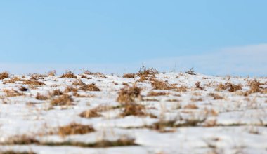 kar ve mavi gökyüzü ufku