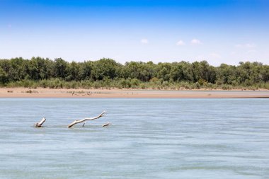Güzel doğa Syr Darya nehrinde. Kazakistan