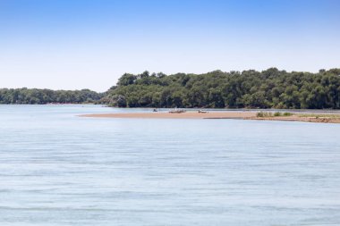 Güzel doğa Syr Darya nehrinde. Kazakistan