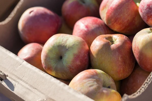 Яблоки в коробке на рынке — стоковое фото