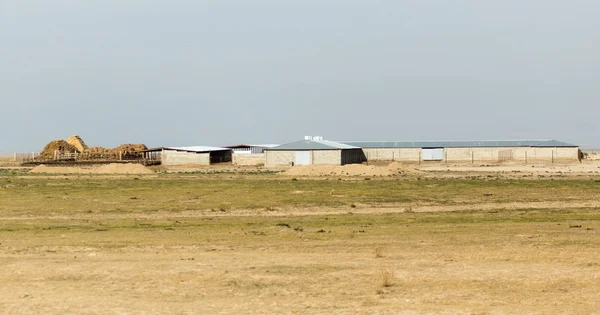 Casa no deserto. Cazaquistão — Fotografia de Stock