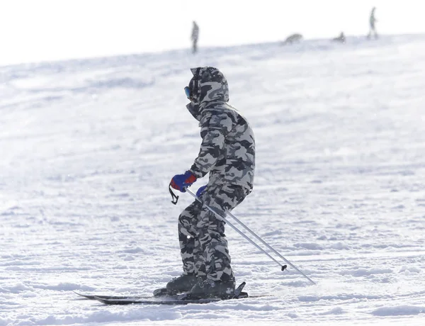 Mensen in de winter skiën — Stockfoto