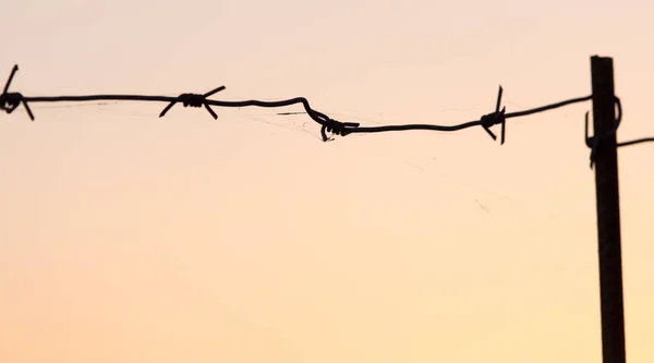 Arame farpado ao pôr do sol — Fotografia de Stock