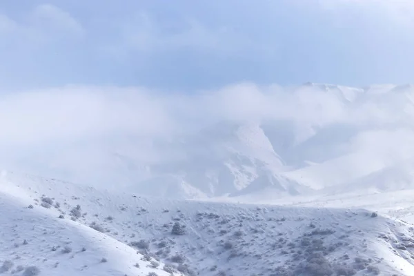 Montagne innevate di Tien Shan montagne in inverno — Foto Stock