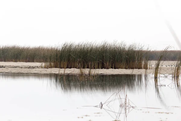 sazlık gündoğumu gölde üzerinde