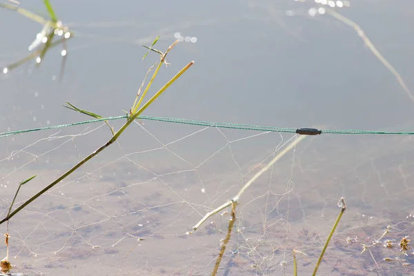 Net in het water — Stockfoto