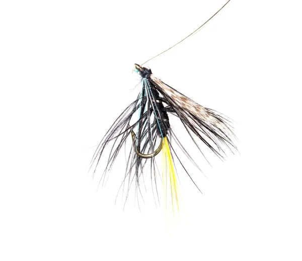 Fly for fishing on a white background — Stock Photo, Image