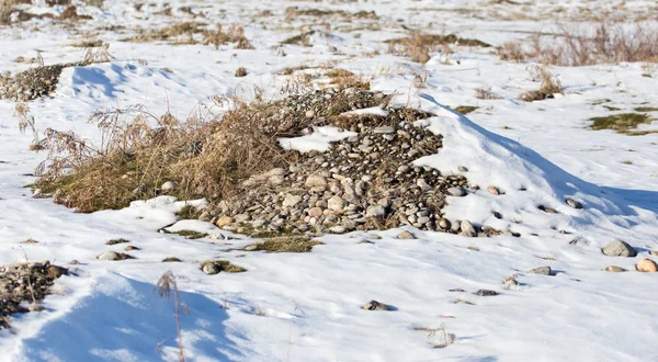 Schnee auf den Felsen — Stockfoto