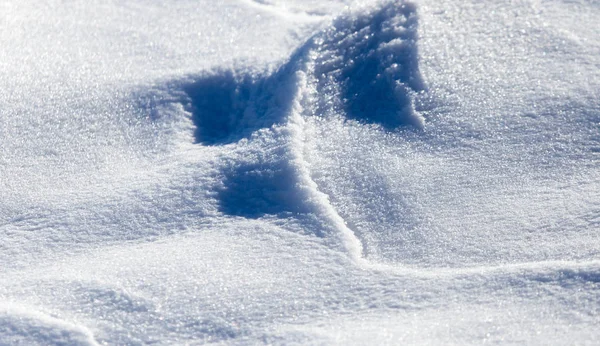 Χιόνι στη φύση ως φόντο — Φωτογραφία Αρχείου