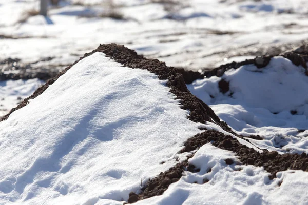 Nieve en el suelo —  Fotos de Stock