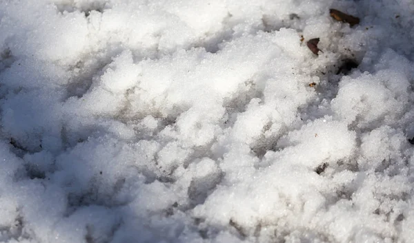 雪地上的鸟脚印 — 图库照片