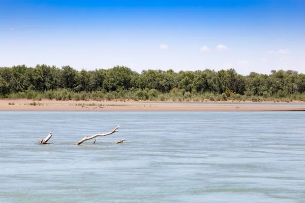 Hermosa naturaleza en el río Syr Darya. Kazajstán —  Fotos de Stock