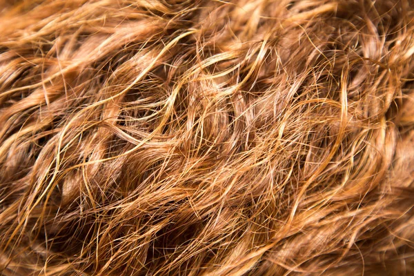 Włosy w tle — Zdjęcie stockowe