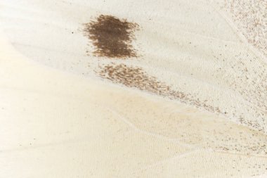 Kelebek kanadı bir arka plan olarak. Makro