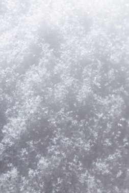 bir fon olarak kar. Makro