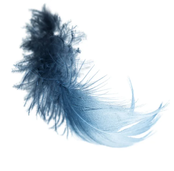 하얀 배경에 있는 푸른 깃털 — 스톡 사진