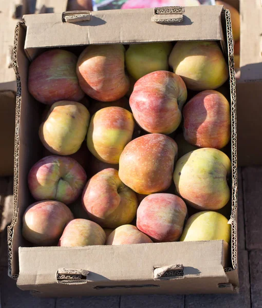 Manzanas en la caja en el mercado — Foto de Stock