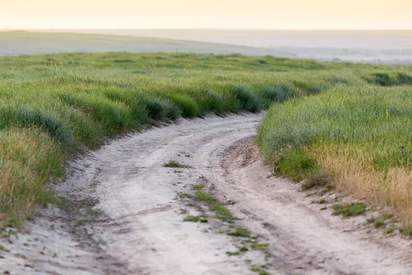 Camino de tierra en la naturaleza — Foto de Stock