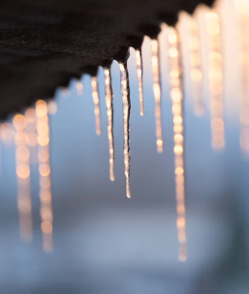 Carámbanos de invierno en el sol amanecer — Foto de Stock