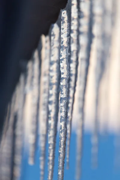 Winter ijspegels aan de dageraad van de zon — Stockfoto