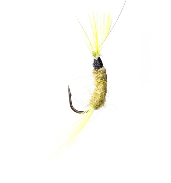 Fly for fishing on a white background — Stock Photo, Image