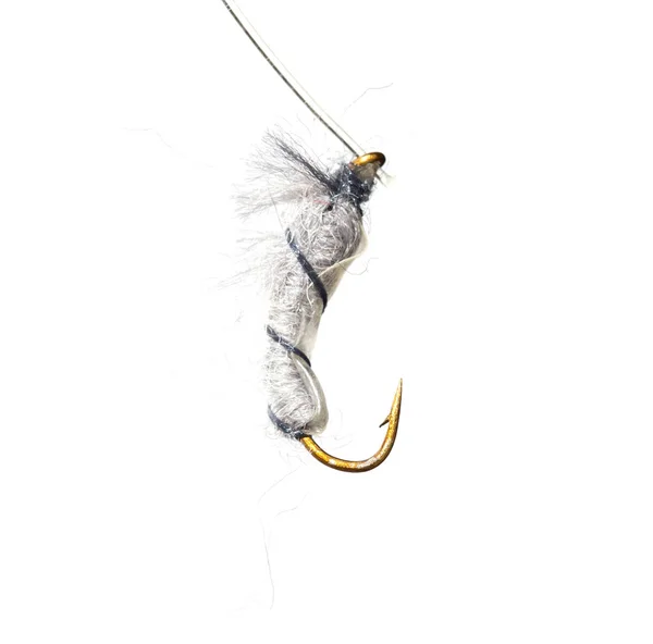 Fly for fishing on a white background — Stock Photo, Image
