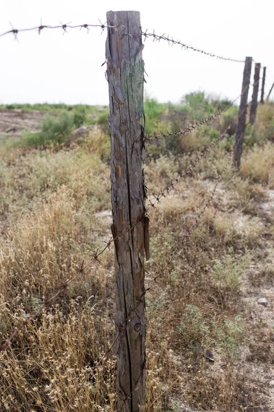 Ogrodzenie z drutu kolczastego w przyrodzie — Zdjęcie stockowe