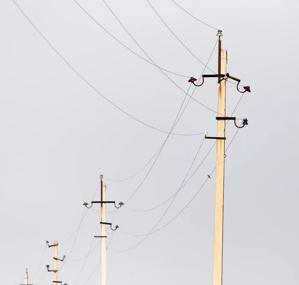 Elektrické sloupy za svítání — Stock fotografie