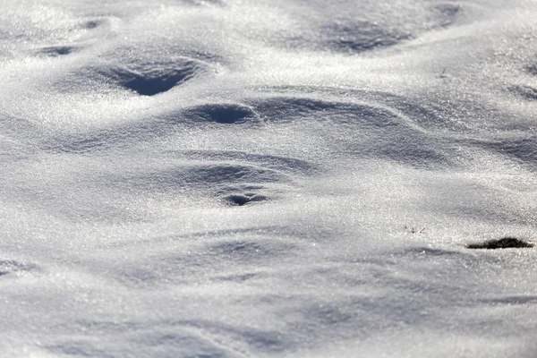 Snö i naturen som bakgrund — Stockfoto