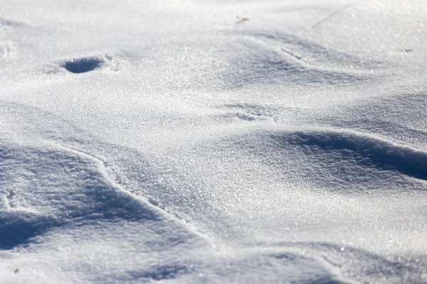 Sníh v přírodě jako pozadí — Stock fotografie