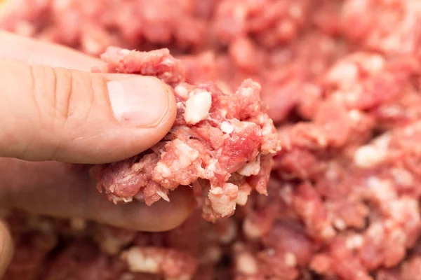 Malet kött i sin hand. makro — Stockfoto