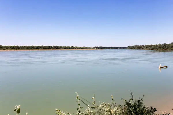 Wunderschöne Natur am Fluss syr darya. Kasachstan — Stockfoto