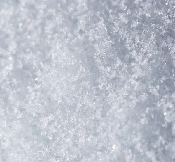 Snow as a backdrop. macro — Stock Photo, Image