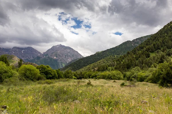 Doğa Kazakistan dağlarında