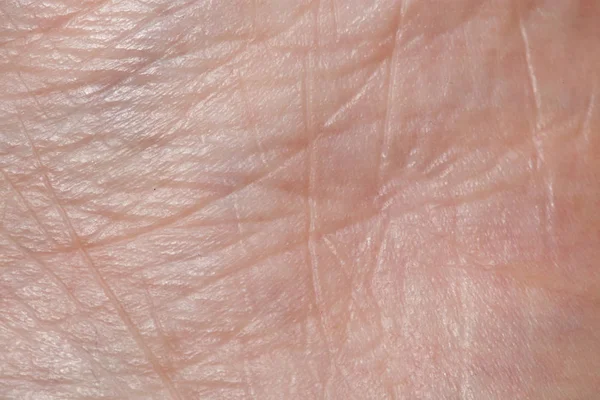 Background of the human skin. macro — Stock Photo, Image