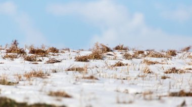 kar ve mavi gökyüzü ufku