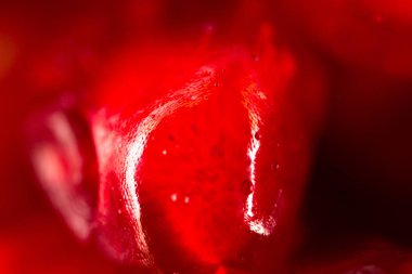 Nar bir arka plan olarak. Makro