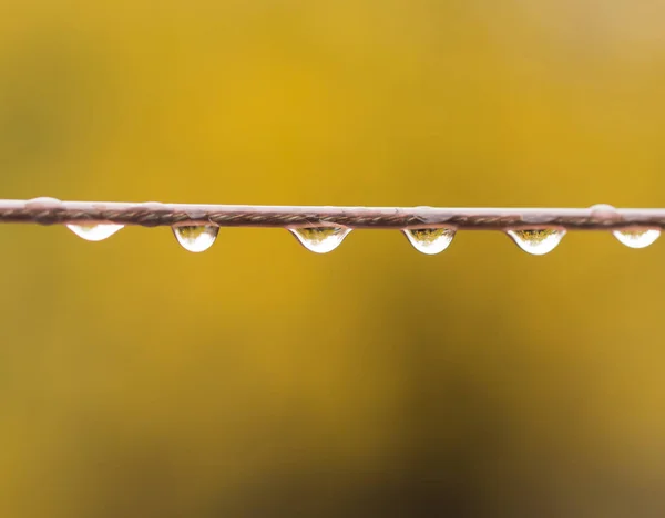 Regentropfen auf Draht. Makro — Stockfoto