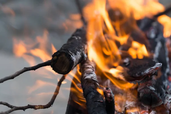 背景从燃烧的木炭 — 图库照片