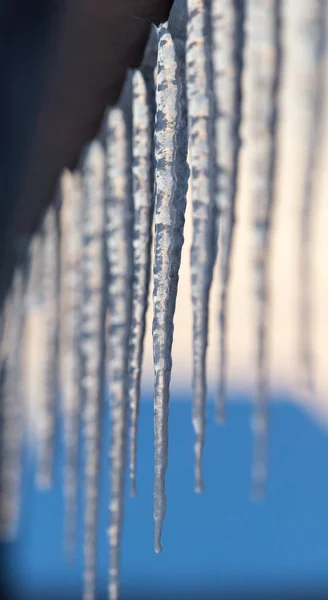 Vinter istappar på solen gryningen — Stockfoto