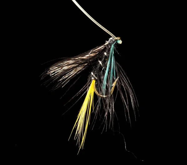 Fly to catch fish on a black background — Stock Photo, Image