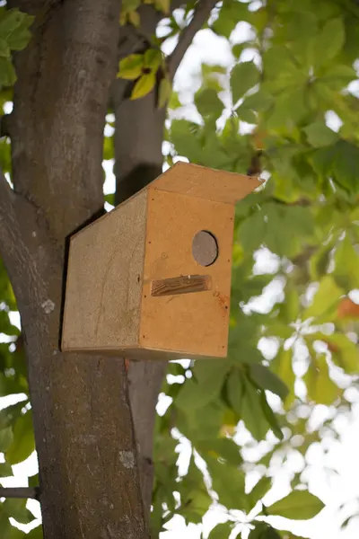 Bird-house on a tree — Stock Photo, Image