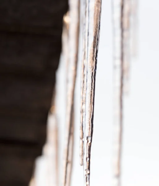 Icicles on nature — Stock Photo, Image