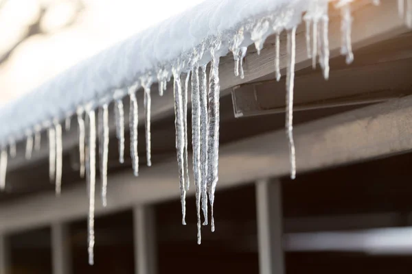 Icicles on the nature of the morning — Stock Photo, Image