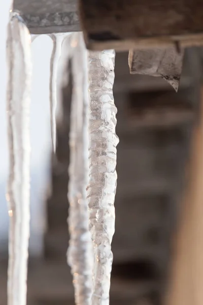 Icicles στη φύση — Φωτογραφία Αρχείου