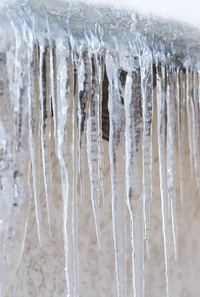 Icicles στη φύση — Φωτογραφία Αρχείου